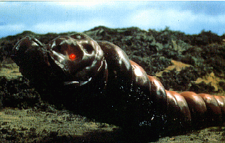 mothra_larva.gif